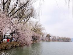 -颐和园