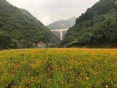 -石砭峪水库