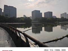 -南翔镇银翔湖公园