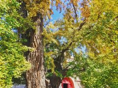 -北京石刻艺术博物馆(五塔寺)