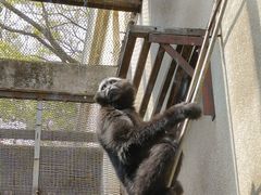 -昆明动物园