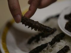 -大笮风(体育馆总店)