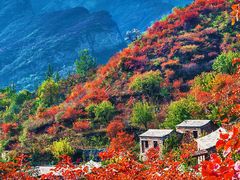 -周口店坡峰岭风景区