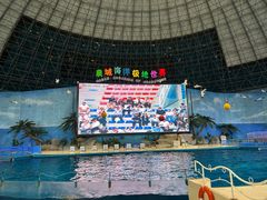 -泉城欧乐堡海洋极地世界