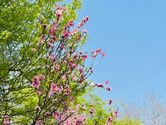 -洨河生态公园