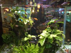 -大家乐(广州天河城六楼店)