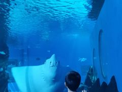 -北戴河圣蓝海洋公园