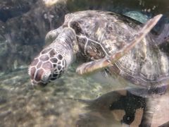 -福州罗源湾海洋世界旅游区