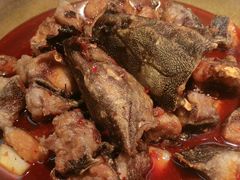 -涿派·炝锅鱼(涿州店)