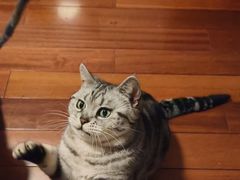 -兰溪小馆(东直门簋街店)