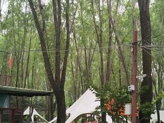-草根堂农场