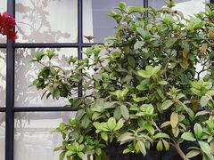 门面-NOTOOCAFE不二咖啡馆(岩前店)