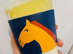 -春丽小马(济南恒隆广场店)