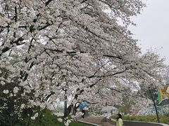 -杭州少年儿童公园