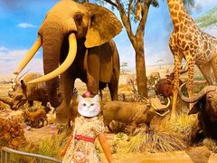 -陕西自然博物馆