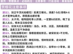 -西湖文化广场