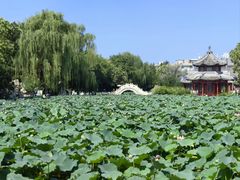 -莲池书院博物馆