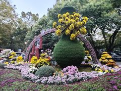 -杭州植物园
