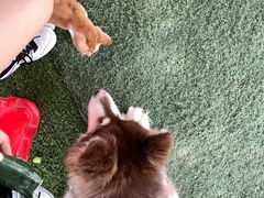 -任达丞国农庄(任达山庄店)