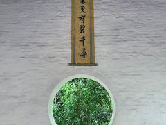 -鼎湖山风景区