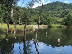 -玉渡山自然风景区