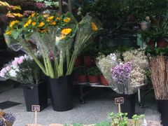 -花草间花行(法华镇路店)