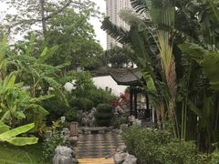 -九龙寨城公园