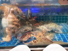 -上宴精品海鲜姿造(晶融汇旗舰店)