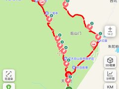 -天目山大树王景区