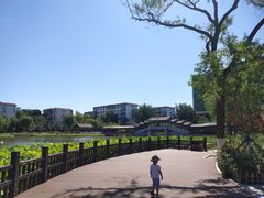 -西海子公园