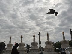 -大召寺明清一条街