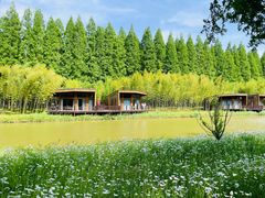 -黄海国家森林公园