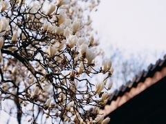 -杭州上天竺法喜讲寺