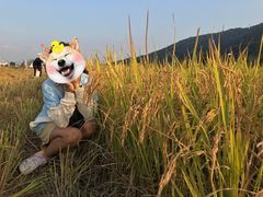 -艾米稻香小镇