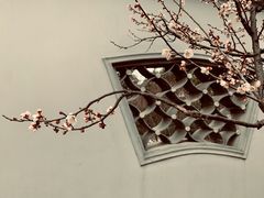 -无锡梅园公园