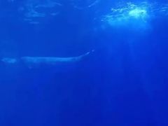 -多彩贵州城极地海洋世界