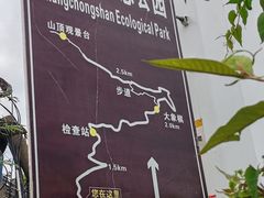 -长虫山生态公园风景林