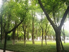 -重庆市江北嘴中央商务区中央公园