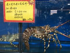 菜单-蚝专家(北滘店)
