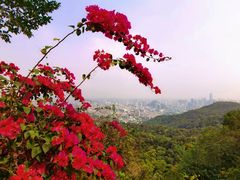 -广州市白云山风景名胜区