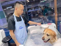 -FAELING PETS美天灵宠物(富力广场店)