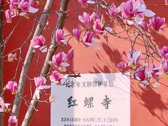 -红螺寺
