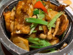 -金悦轩海鲜城(渔人码头店)