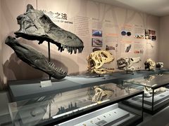 -自贡恐龙博物馆