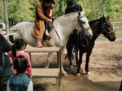 -上海海湾国家森林公园