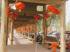 -金塔沙漠胡杨林景区
