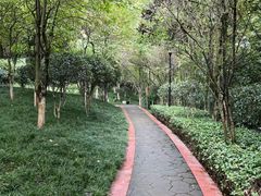-龙头寺公园