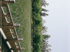 -东升八家郊野公园
