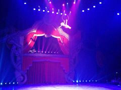 -珠海横琴长隆《卡卡虎奇遇记》