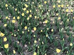 -长春公园(普阳街道)